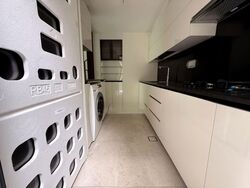 Belgravia Ace (D28), Semi-Detached #581502071